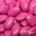 Dragées Chocolat Brillantes – Fuchsia