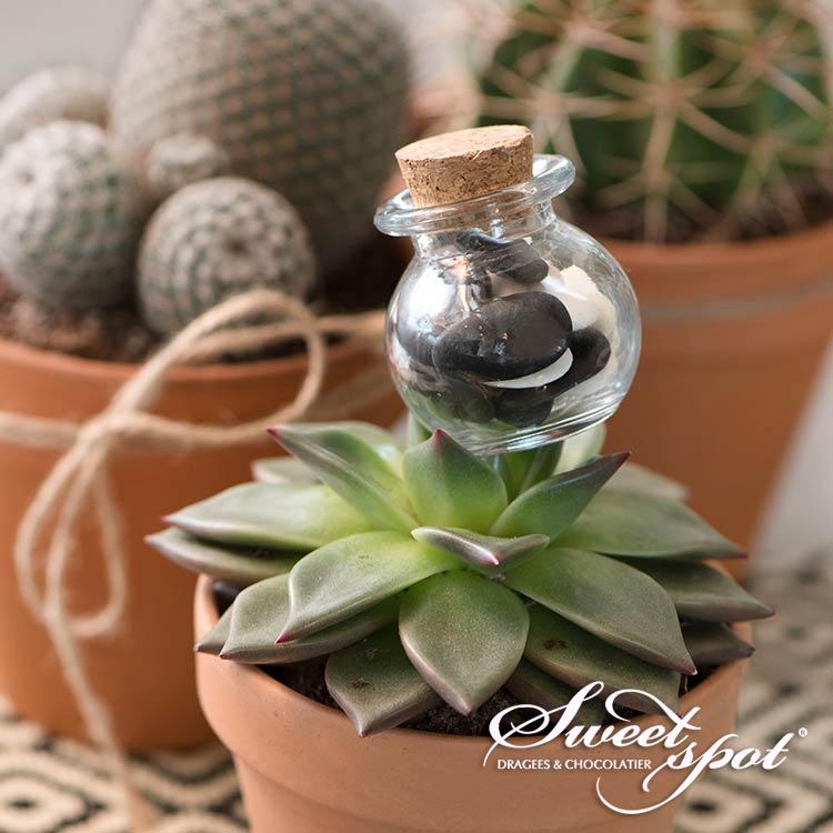 Mini Pot Rond Bouchon Liège Mini Pot Rond Bouchon Liège