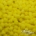 Dragées Mauriciennes à l’Anis – Jaune